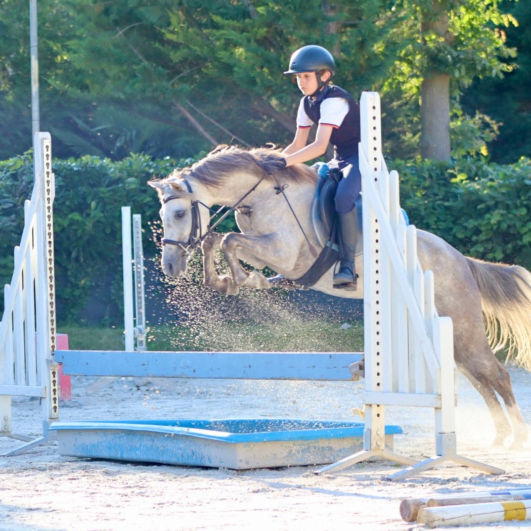 Equestrian Center Des Églantines 1